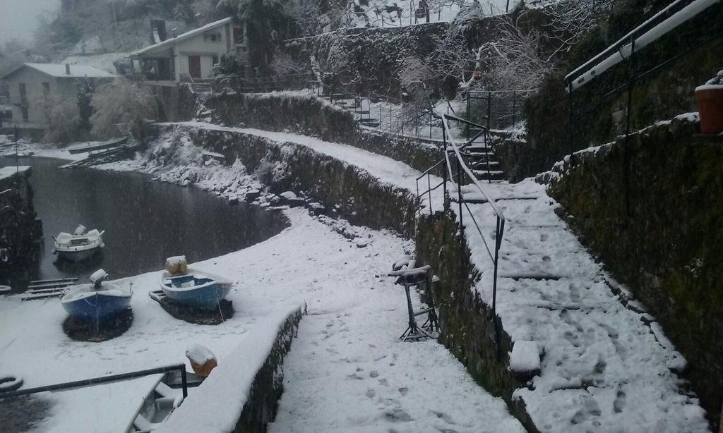Tra Lago E Montagna Baita La Morena Nesso Exteriör bild