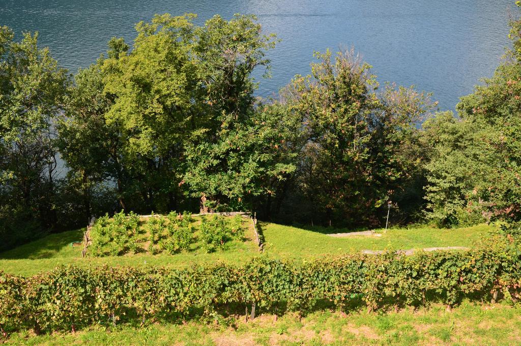 Tra Lago E Montagna Baita La Morena Nesso Exteriör bild