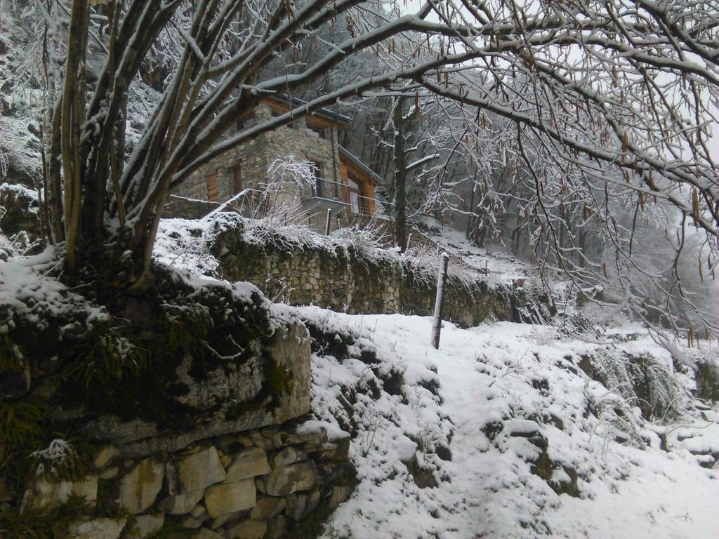 Tra Lago E Montagna Baita La Morena Nesso Exteriör bild