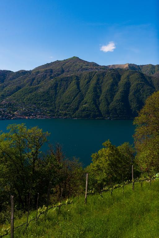 Tra Lago E Montagna Baita La Morena Nesso Exteriör bild
