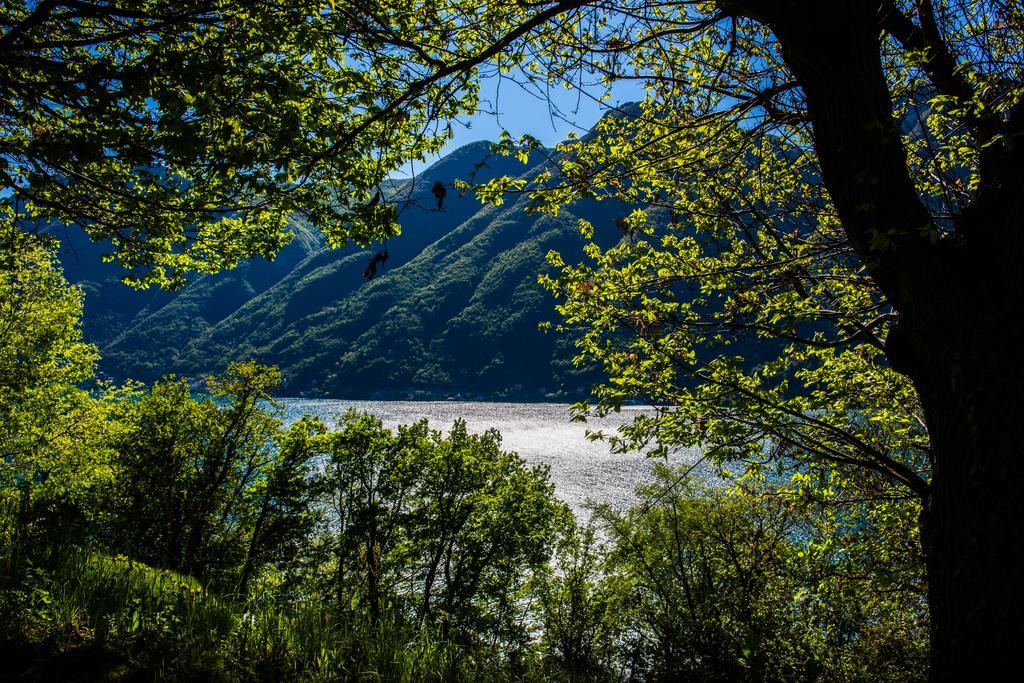 Tra Lago E Montagna Baita La Morena Nesso Exteriör bild