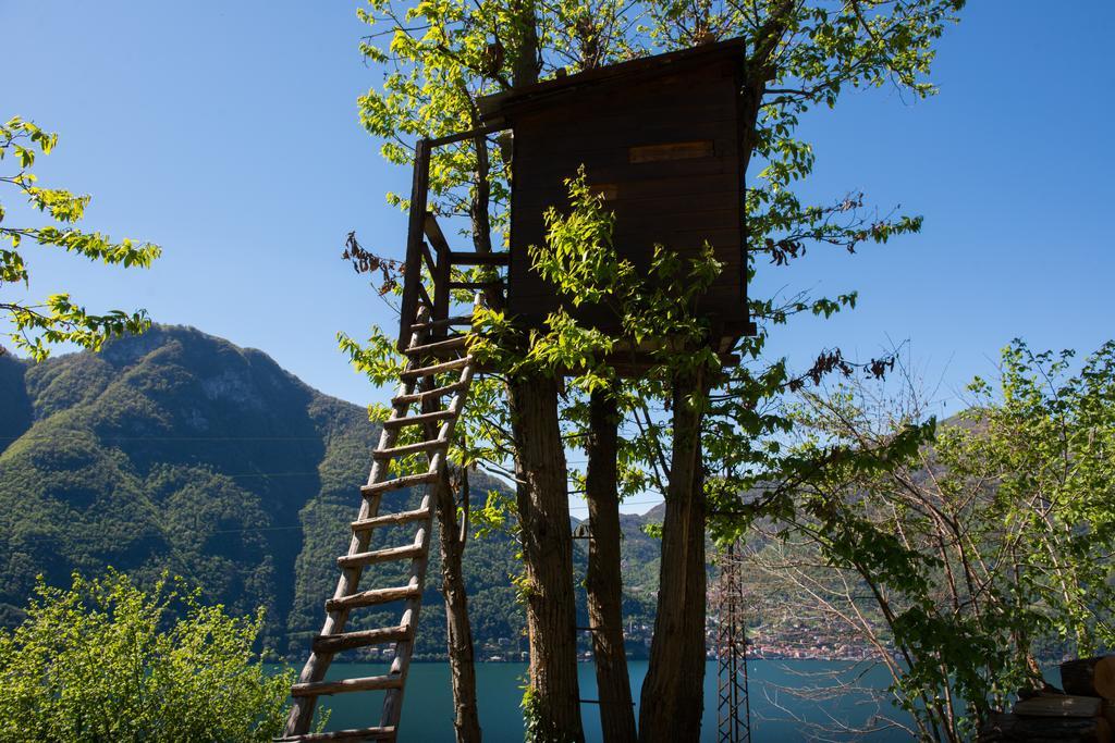Tra Lago E Montagna Baita La Morena Nesso Exteriör bild