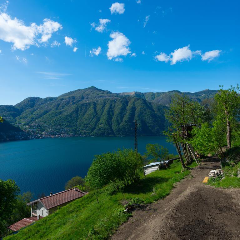 Tra Lago E Montagna Baita La Morena Nesso Exteriör bild